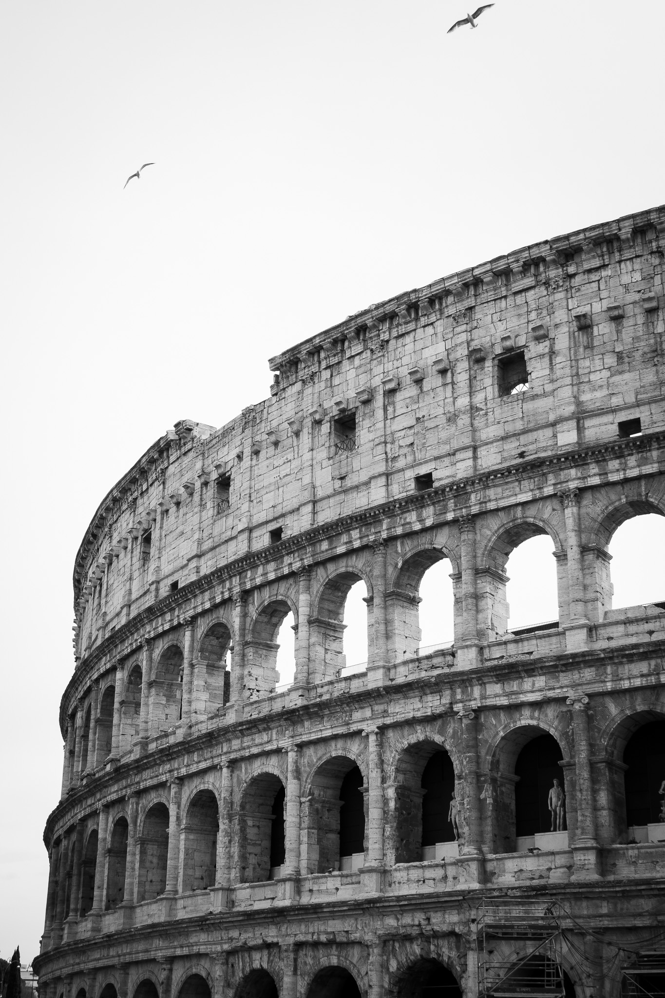 ITALY 2026 image DSC03843.jpg